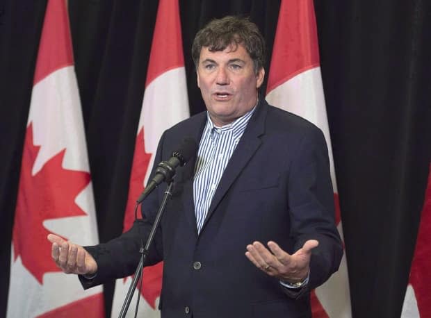 Liberal Dominic LeBlanc has been re-elected in Beauséjour. (Andrew Vaughan/Canadian Press - image credit)