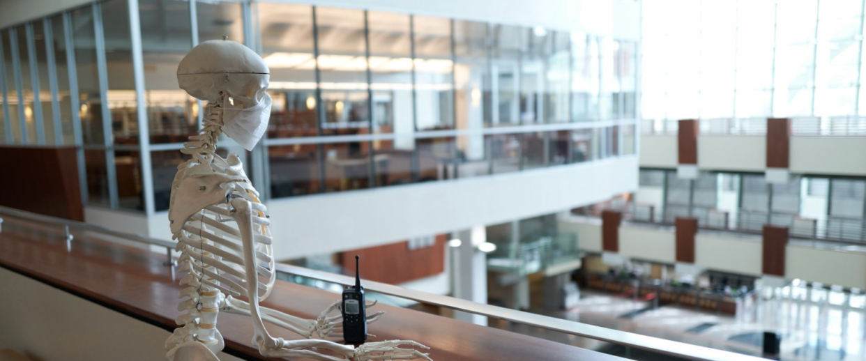 Mandy the Skeleton looks over the empty UNLV Library while students complete coursework from home. (Photo: Aaron Mayes)