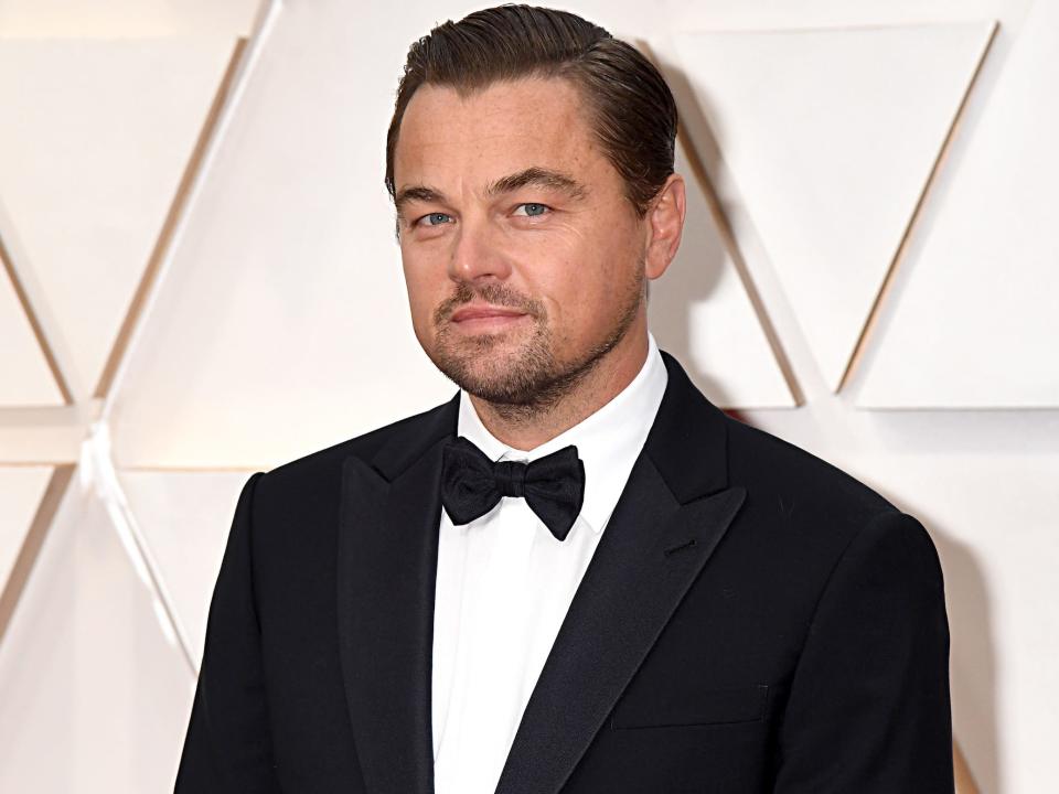 Leonardo DiCaprio poses on the red carpet in a classic tuxedo ahead of the 92nd annual Academy Awards.