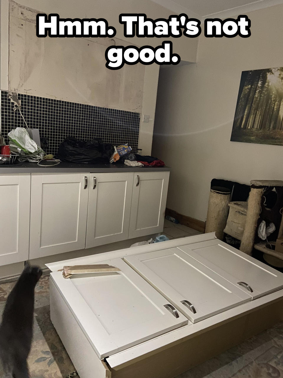 Kitchen cabinet that's fallen to the floor