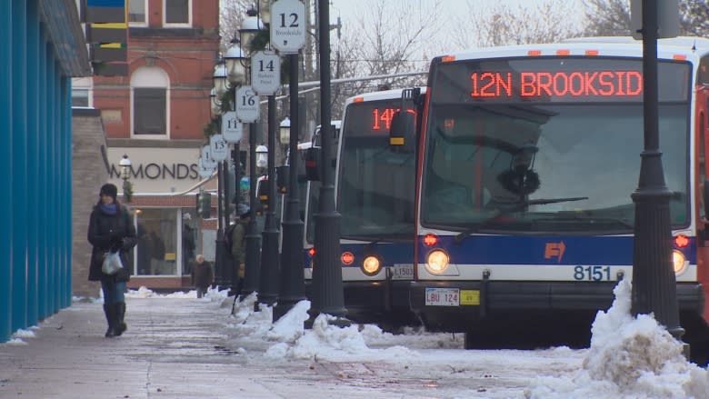 Fredericton public transit survey gets unexpected response