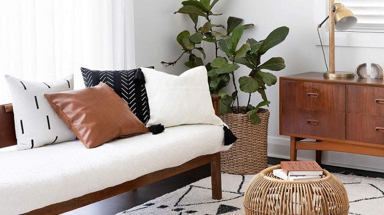 Amazon carries lots of home decor, and you can get it fast with two-day shipping.
