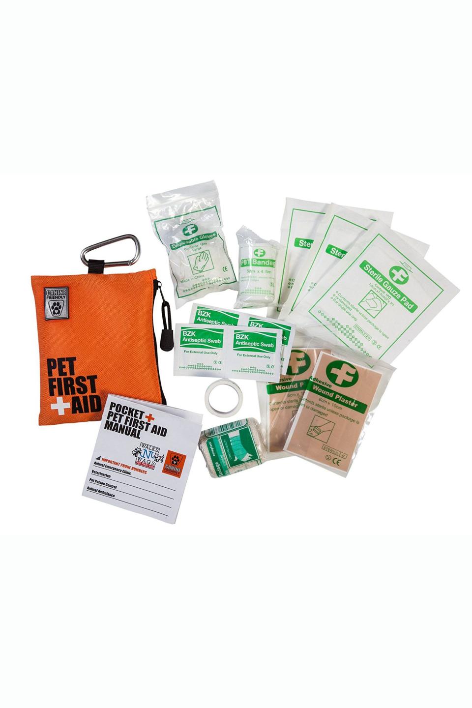 Travel With a Pet First Aid Kit