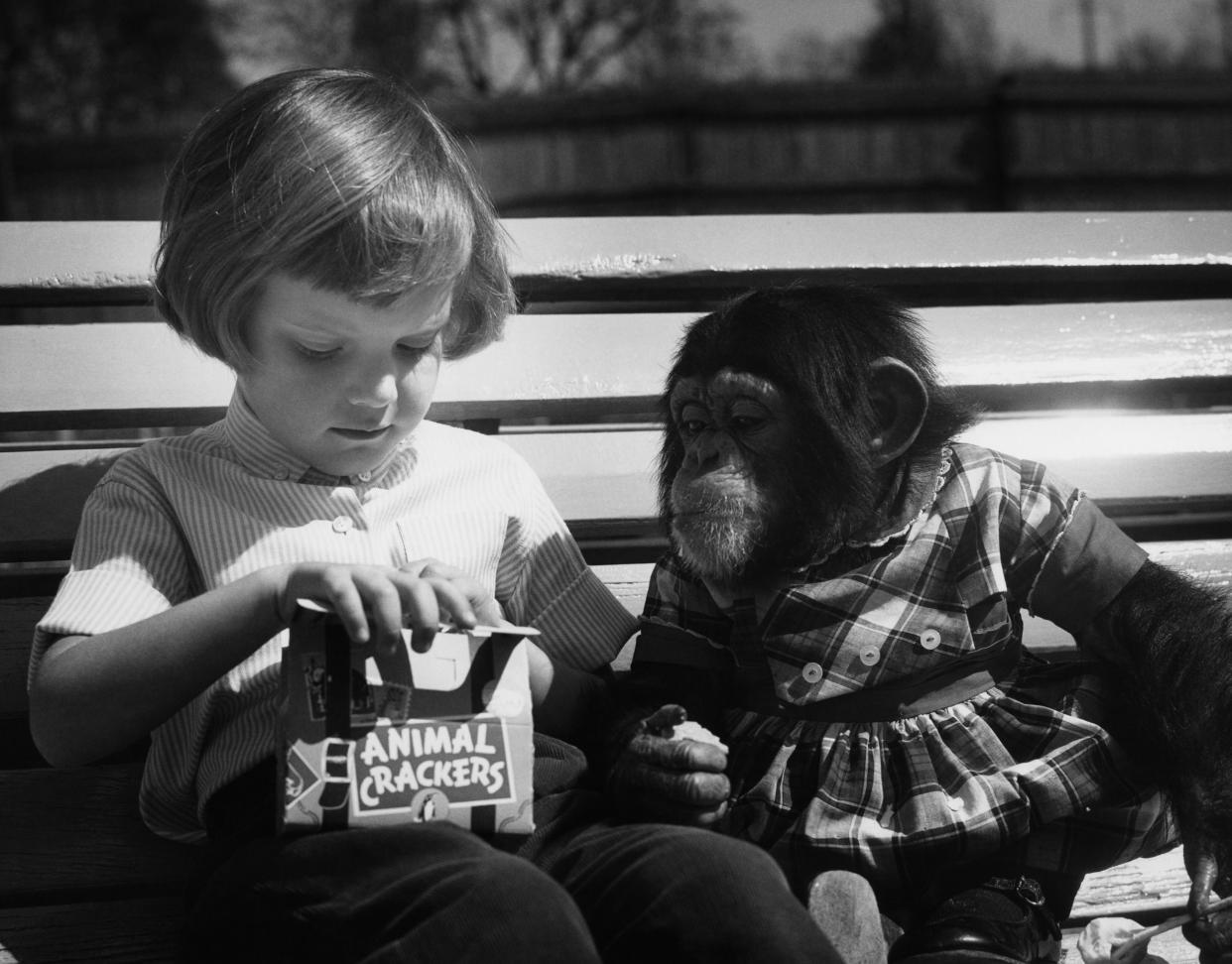 Black and white vintage image of a little girl sitting on a park bench, looking a box of animal crackers about to give a monkey sitting on her right side an animal cracker, blurred background of park, light cast on subjects