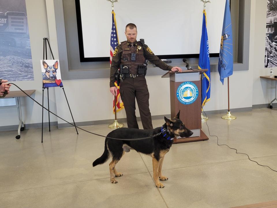 Fond du Lac County Sheriff's Office police dog Iro shows off his recovery at a press conference Mar. 25 revealing the findings of an investigation into the officer-involved shooting in October.