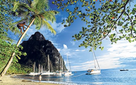 The west coast of St Lucia is home to some of the planet's loveliest beaches