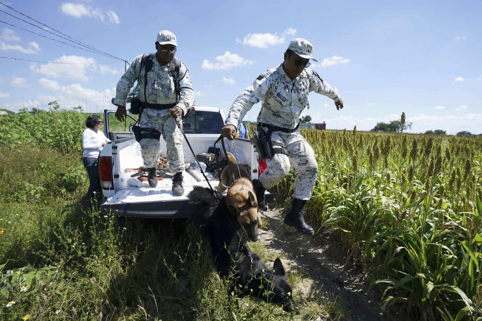 FILE - A Mexican National Guard canine unit arrive to search for disappeared persons, outside of Cuautla, Mexico, Oct. 12, 2021. Mexico’s President Andres Manuel Lopez Obrador has begun exploring plans to side-step congress to hand formal control of the National Guard to the army. That has raised concerns, because Lopez Obrador won approval for creating the force in 2019 by pledging in the constitution that it would be under nominal civilian control and that the army would be off the streets by 2024. (AP Photo/Fernando Llano, File)