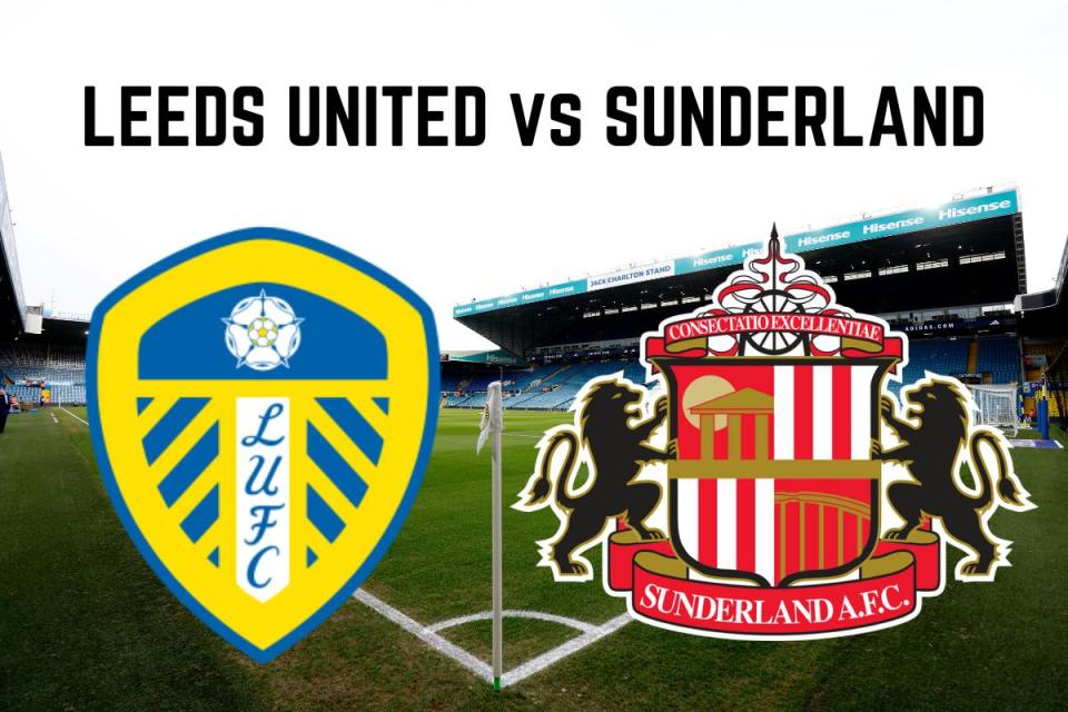 Leeds United vs Sunderland <i>(Image: The Northern Echo)</i>