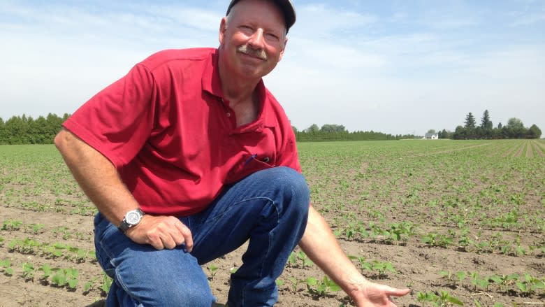 Province boots Ontario farmers from tomato pricing talks