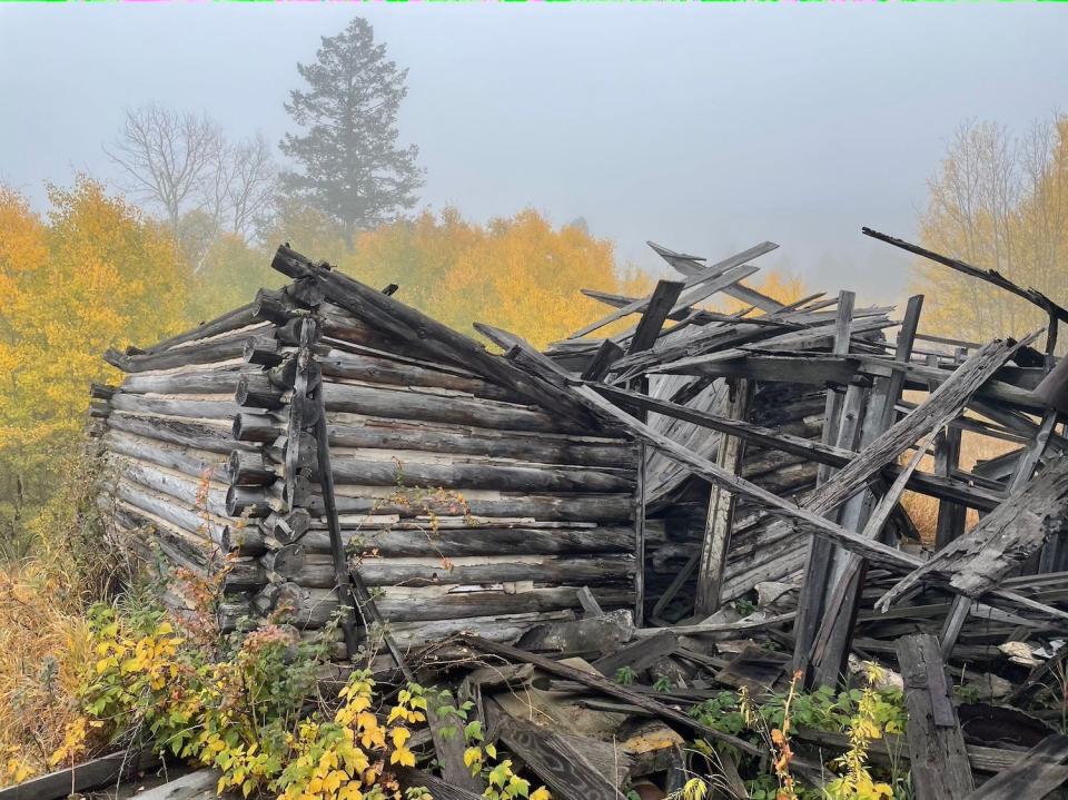 An abandoned house on the Homestead Meadows trail outside of Estes Park, Colorado.