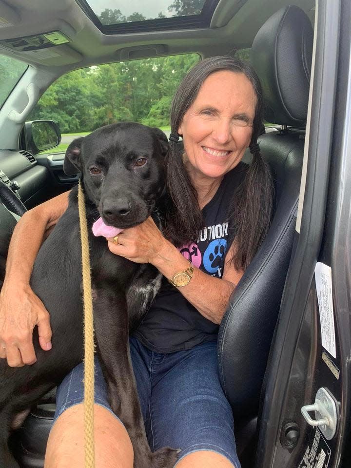 Susan Kochheiser has been volunteering at the Richland County Dog Warden and Shelter for more than 15 years. She recently got word that she will receive a ServeOhio award for her dedication.