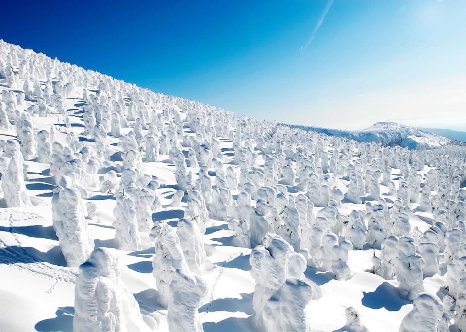 日本旅遊｜藏王樹冰祭2023開催！坐纜車俯瞰七彩樹冰奇觀/雪地車穿梭樹冰林 附一日遊優惠推介