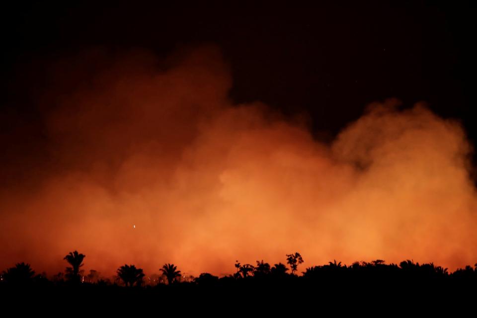 Smoke billows during a fire in an area of the Amazon rainforest near Humaita, Amazonas State, Brazil: REUTERS