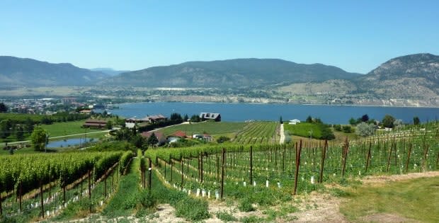 On Tuesday, Penticton city council unanimously voted down a project proposed by developer Canadian Horizons to build about 300 homes on rural land.