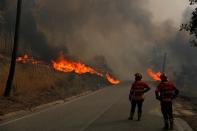 Firefighters work on putting out a forest fire in Chaveira