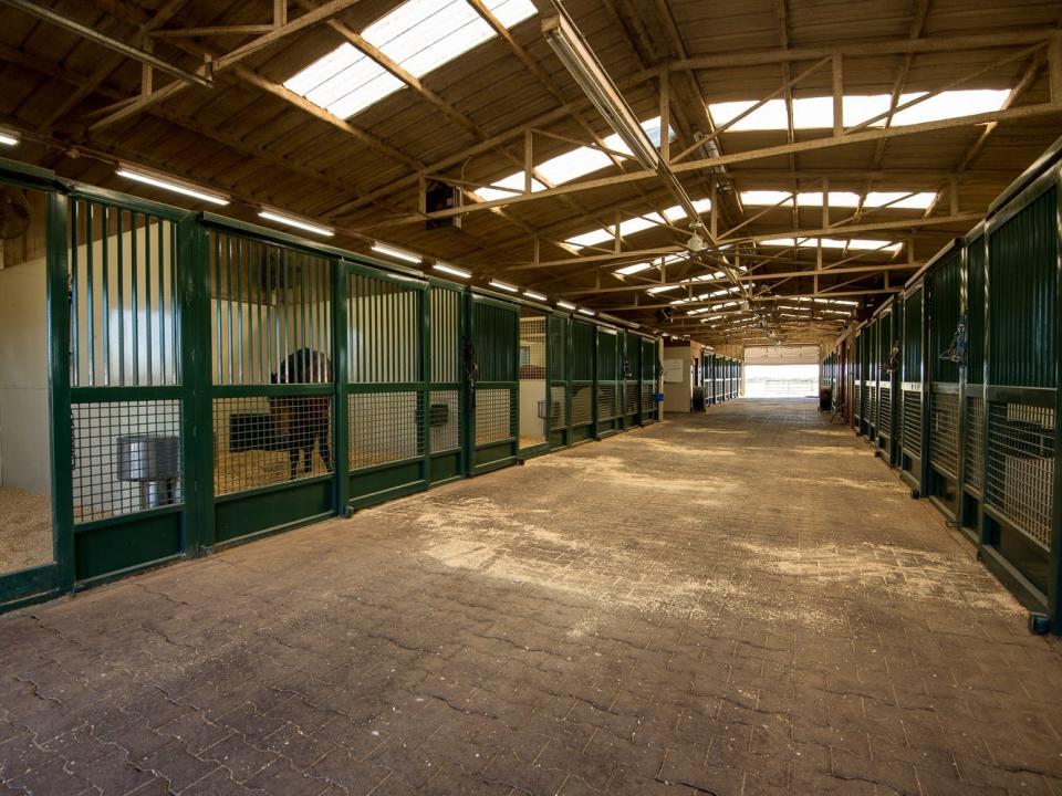 An indoor view of the stables at Terry Bradshaw's ranch.