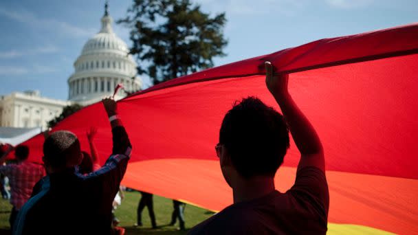 PHOTO: Activists carry a rainbow flag on the West Lawn of the US Capitol Building during a protest Oct. 11, 2009.   (Brendan Smialowski/Getty Images, FILE)