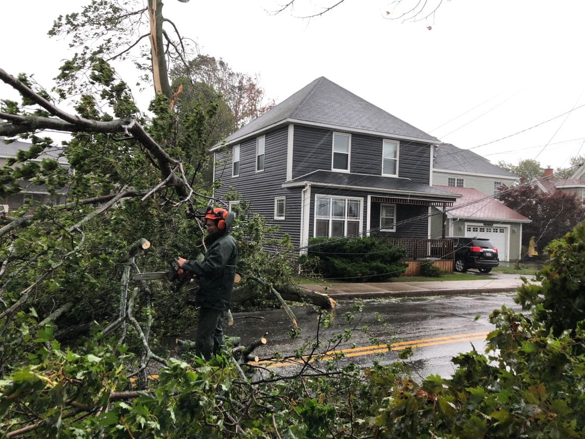 A contractor uses a chainsaw to clear a downed tree on a residential street in North Sydney, N.S., on Saturday. (Tom Ayers/CBC - image credit)