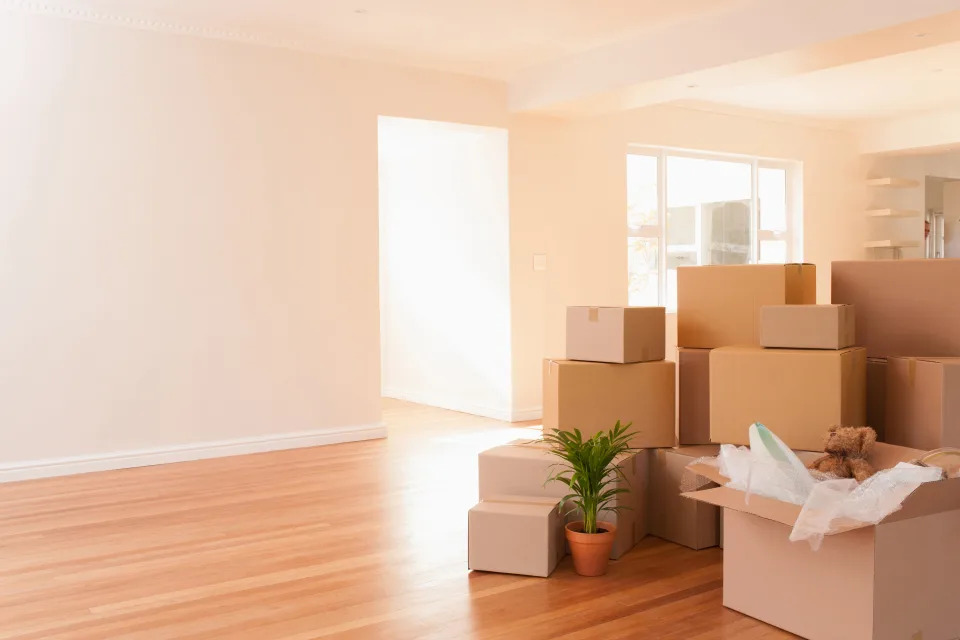 Room filled with various sizes of moving boxes, a potted plant, and a teddy bear, indicating a moving process is underway