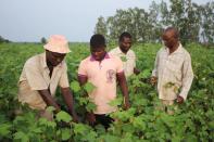 Benin creates jobs and revenue by processing the cotton locally in new textile factories