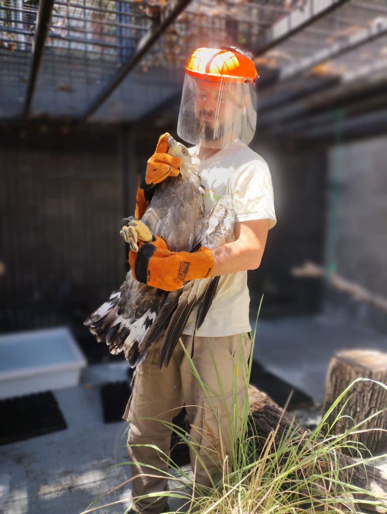 Federico Bondone, veterinario del Ecoparque porteño