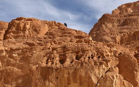 A hiker climbs a rocky area at the Closed Canyon in South Sinai, Egypt, in this November 21, 2015 file photo. REUTERS/Asmaa Waguih/Files