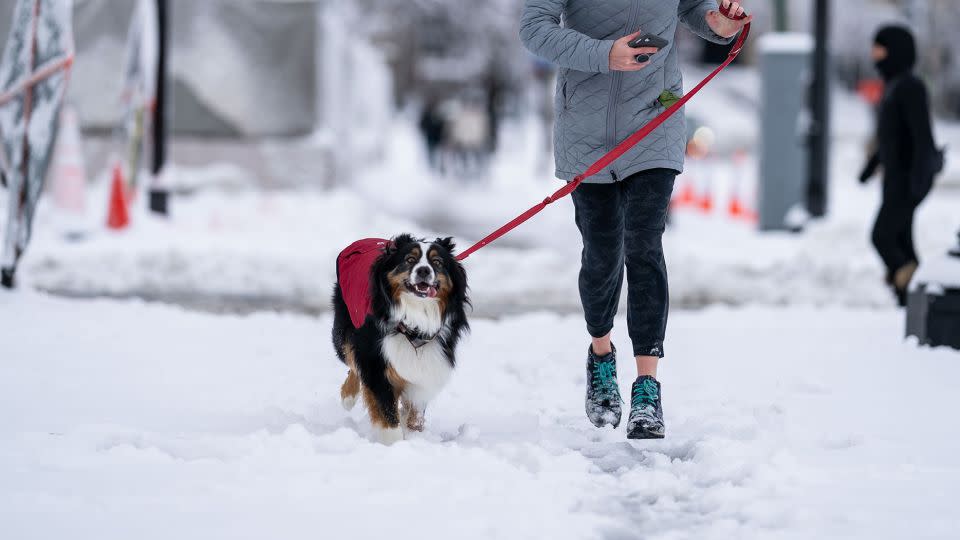 A woman runs with her dog along the snow-covered National Mall in January 2022 in Washington, DC. - Kent Nishimura/Los Angeles Times/Getty Images