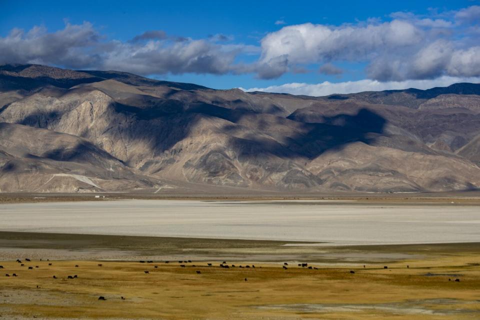 Clouds cast shadows on mountains behind a wide plain with cows far in the distance