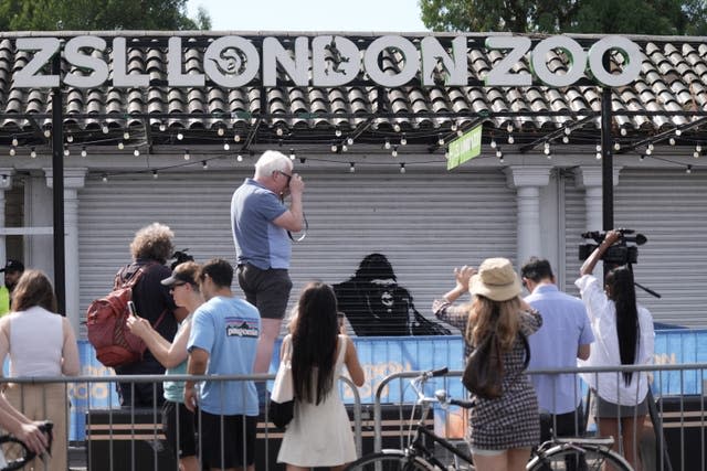 People photographing Banksy artwork at London Zoo