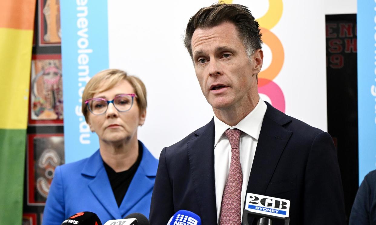 <span>The NSW minister for the prevention of domestic violence and sexual assault, Jodie Harrison, with the NSW premier, Chris Minns. The proposed reforms will ‘help keep women and children safer’, the premier says.</span><span>Photograph: Bianca de Marchi/AAP</span>