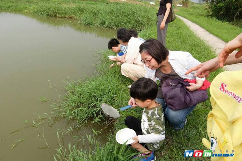 ▲為推廣濕地環境教育，台北市環保局將在 106 年 7 月 28 日（星期五）舉辦「探索水棲生物」與「水生植物知多少」體驗學習活動，即日起接受報名，每場次限 30 個名額，歡迎親子大手牽小手一起報名參加。（圖／北市環保局提供）