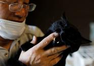 The Wider Image: The man who saves forgotten cats in Fukushima's nuclear zone