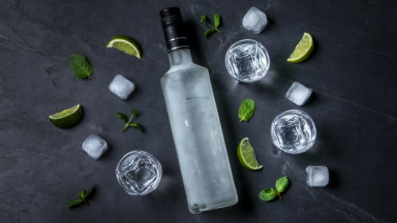 Chilled vodka bottle on counter