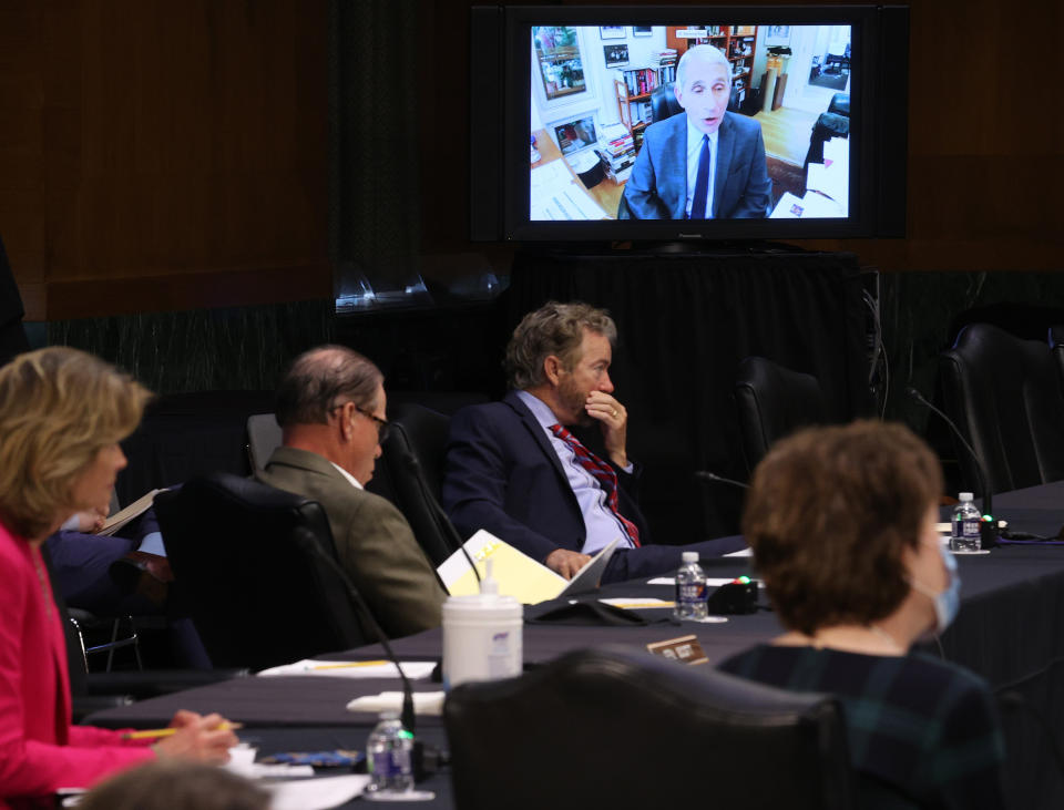 Senators listen to Dr. Anthony Fauci, director of the National Institute of Allergy and Infectious Diseases speak remotely during the Senate Committee for Health, Education, Labor, and Pensions hearing to examine COVID-19 and Safely Getting Back to Work and Back to School on  May 12, 2020 in Washington,DC. (Win McNamee/POOL/AFP via Getty Images)