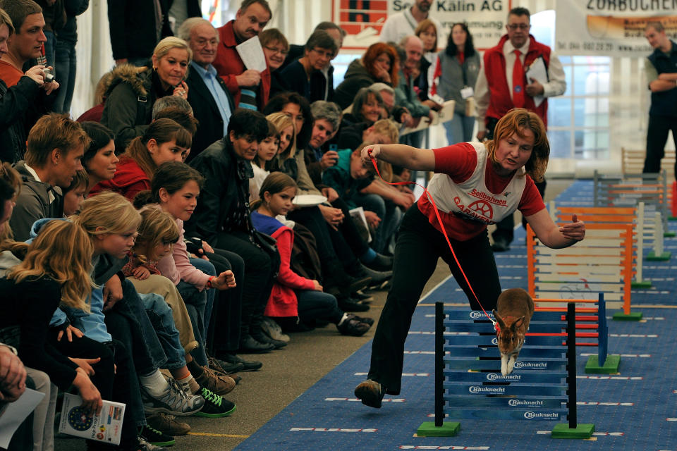 First European Rabbit Hopping Championships