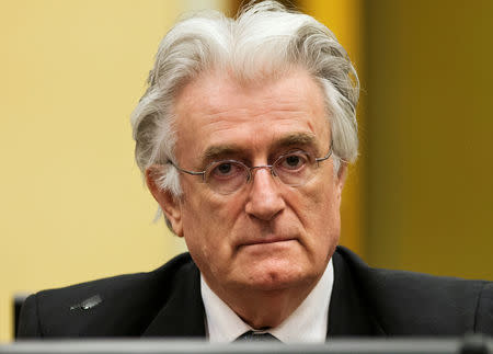 FILE PHOTO: Bosnian Serb wartime leader Radovan Karadzic appears in the courtroom for his appeals judgment at the International Criminal Tribunal for Former Yugoslavia (ICTY) in The Hague July 11, 2013. REUTERS/Michael Kooren/File Photo