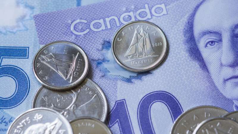 Canadian money, both cash and coins.