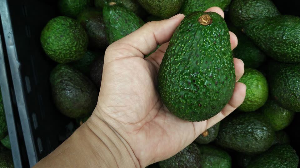 Australian avo lovers are being too rough with their beloved fruit. Source: Getty