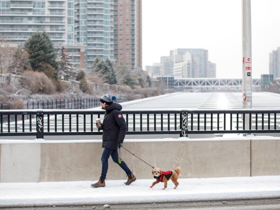 Environment Canada says a&#xa0;swath of snow is expected to move from west to east beginning this evening and continuing overnight. (Evan Mitsui/CBC - image credit)