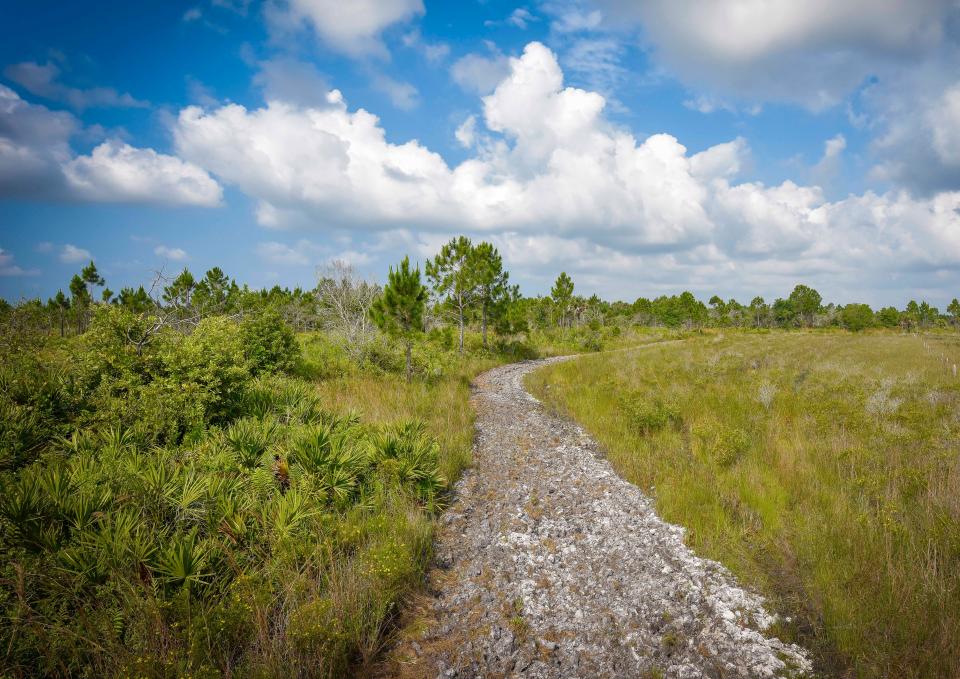 Conservation Foundation of the Gulf Coast works with landowners, businesses and government to save land in perpetuity.