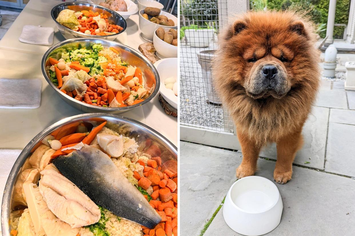 Martha making dog food homemade next to her chow chow dog