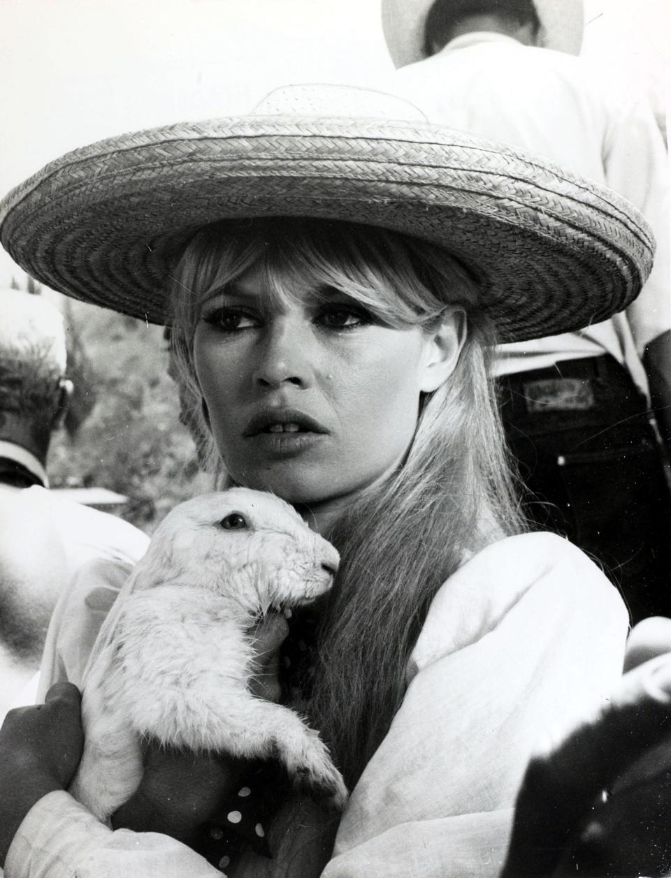 Brigitte Bardot