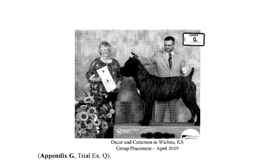A photograph of Oscar, an award-winning Cane Corso, was entered as evidence in a legal dispute over his ownership first held in Wyandotte County District Court. The photograph was taken during a competition in Wichita, Kansas in April 2019.