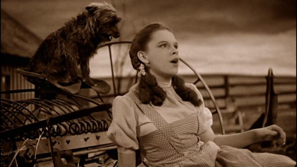 Judy Garland was forever changed after appearing in The Wizard of Oz (Credit: MGM)