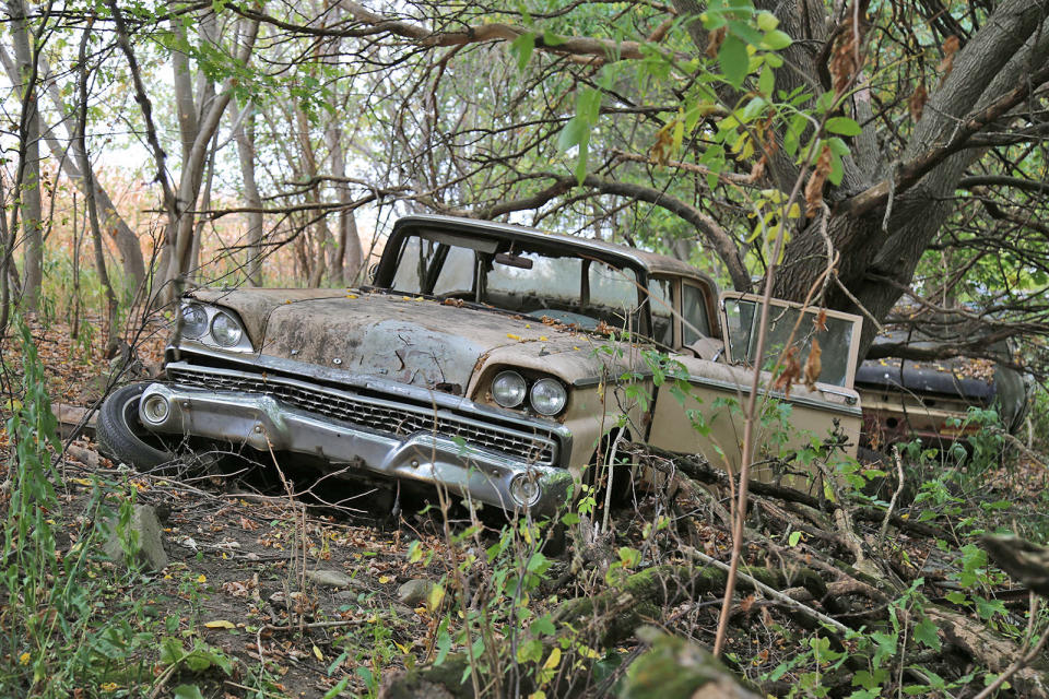 <p>Exploring places like Bob's Auto Salvage offers more than just a treasure trove of vintage cars; it's the stunning backdrop that turns car photography into a true <strong>delight</strong>. Considering its woodland location, this 1959 Ford is in remarkably good condition, and you can still see your reflection in the sparkling chrome bumper.</p>