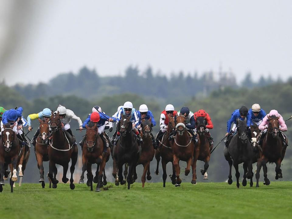 Runners and riders charge down the final straight in the King George V Stakes on Day Three of Royal Ascot (Getty)