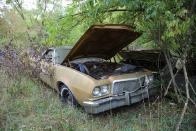 <p>"More than a car! More than a truck!" was how Ford described the Ranchero upon its 1957 debut. From its inception until the final example rolled off the line in 1979, over <strong>half a million</strong> found buyers. This is a sixth-generation example, which was built in 1975.</p><p><strong><em>This is part 1 of our feature from this yard; we’ll publish part 2 soon</em></strong></p>