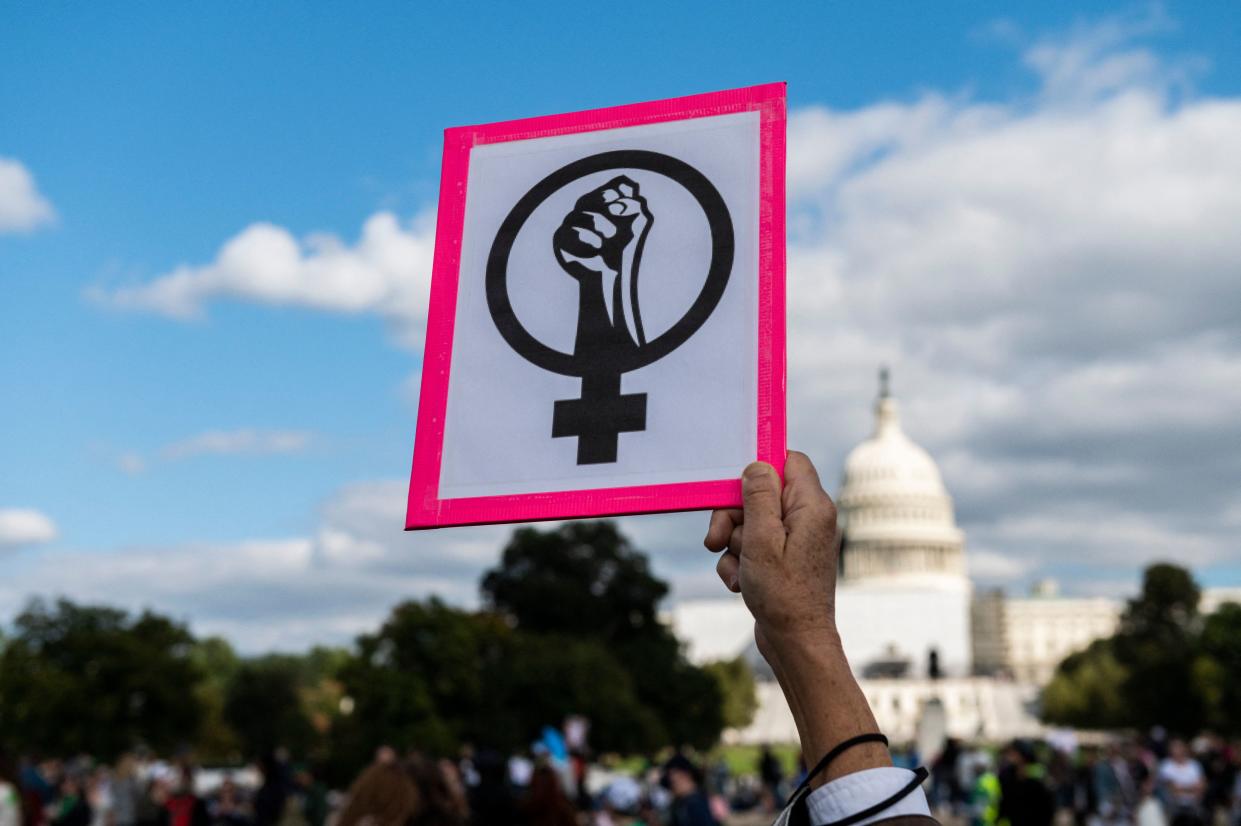 The Women's March to support Women's Rights