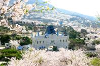 <p><em>April 1 to 10</em></p><p>There are photo opps everywhere you turn in this charming naval town with 300,000 cherry blossom trees. But perhaps the most Instagram-worthy shot is at Gyeonghwa train station, where rows of trees run parallel to the track and cherry blossoms rain down <a href="https://www.womansday.com/life/travel-tips/g3203/best-scenic-train-rides-around-the-world/" rel="nofollow noopener" target="_blank" data-ylk="slk:on the train;elm:context_link;itc:0;sec:content-canvas" class="link ">on the train</a> as it pulls in. During the<a href="http://english.visitkorea.or.kr/enu/ATR/SI_EN_3_6.jsp?cid=1630721" rel="nofollow noopener" target="_blank" data-ylk="slk:Jinhae Gunhangje Festival;elm:context_link;itc:0;sec:content-canvas" class="link "> Jinhae Gunhangje Festival</a>, major events include a fireworks show, an air show by the flight display team of the Republic of Korea Airforce and a nighttime light show. </p>