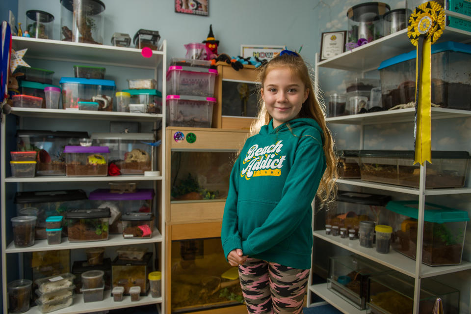 Meet the eight-year-old conservationist who loves spiders so much that she shares her bedroom - with more than 50 of them